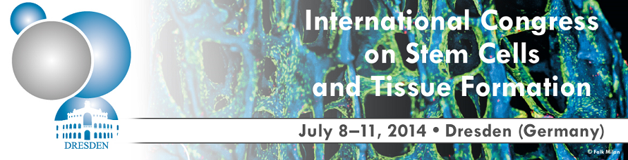 International Conference on Stem Cell and Tissue Formation 