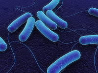 Top 10 most viewed Microbiology research articles: May 2014