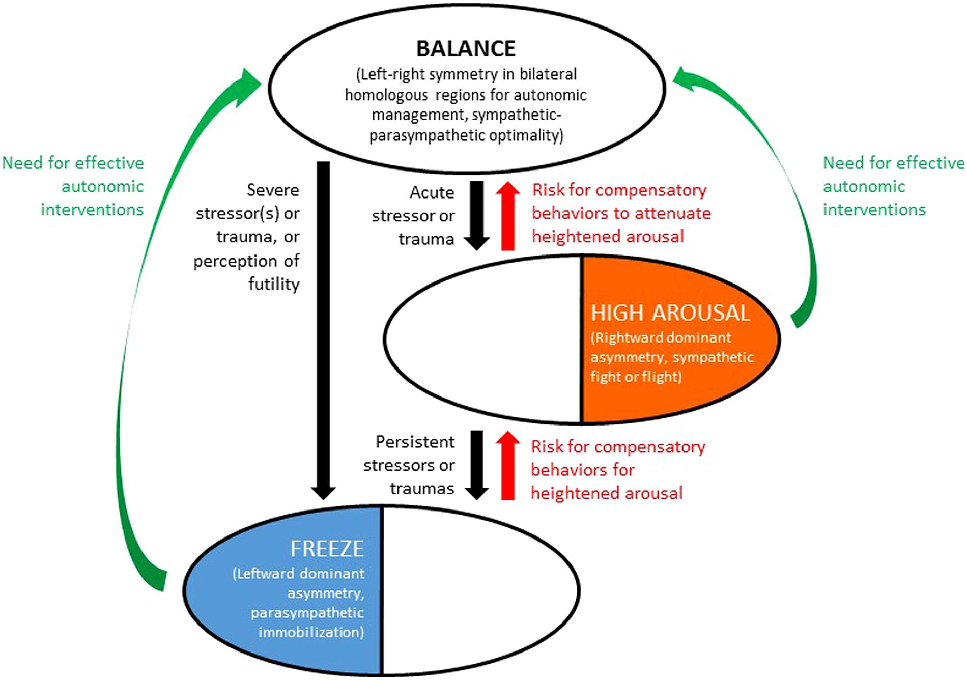 read modelling and prediction honoring