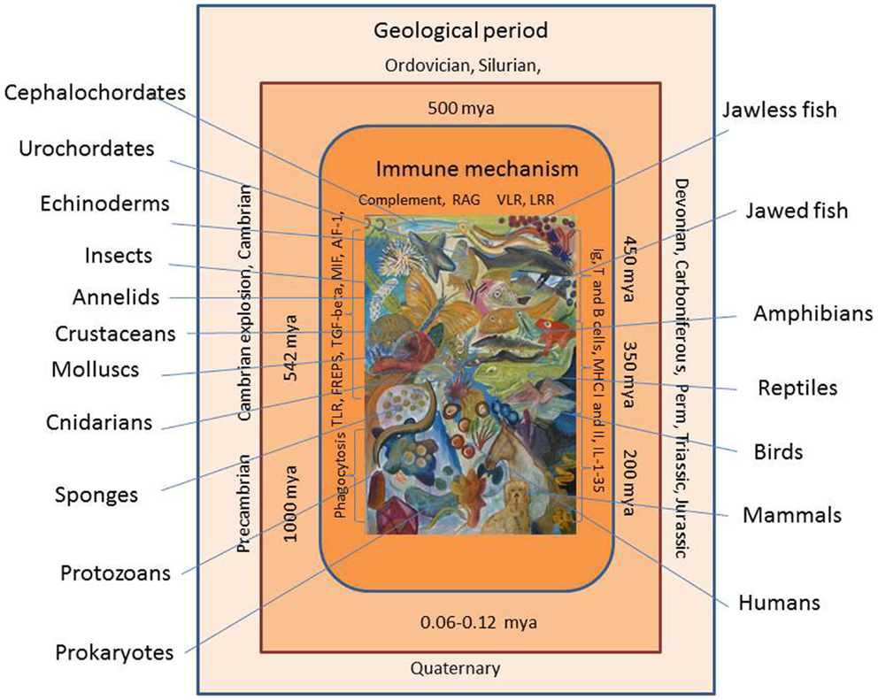 book plaque imaging pixel to molecular level studies