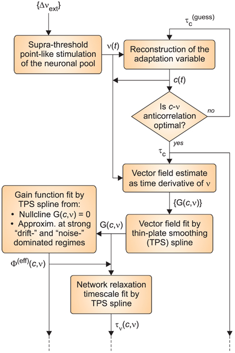 frontiers inferring network dynamics and neuron neuromuscular junction flow chart
