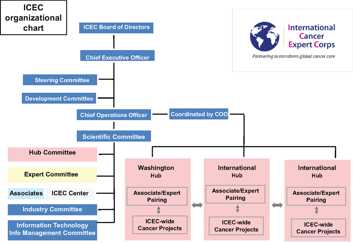 Radiation oncology center business plan