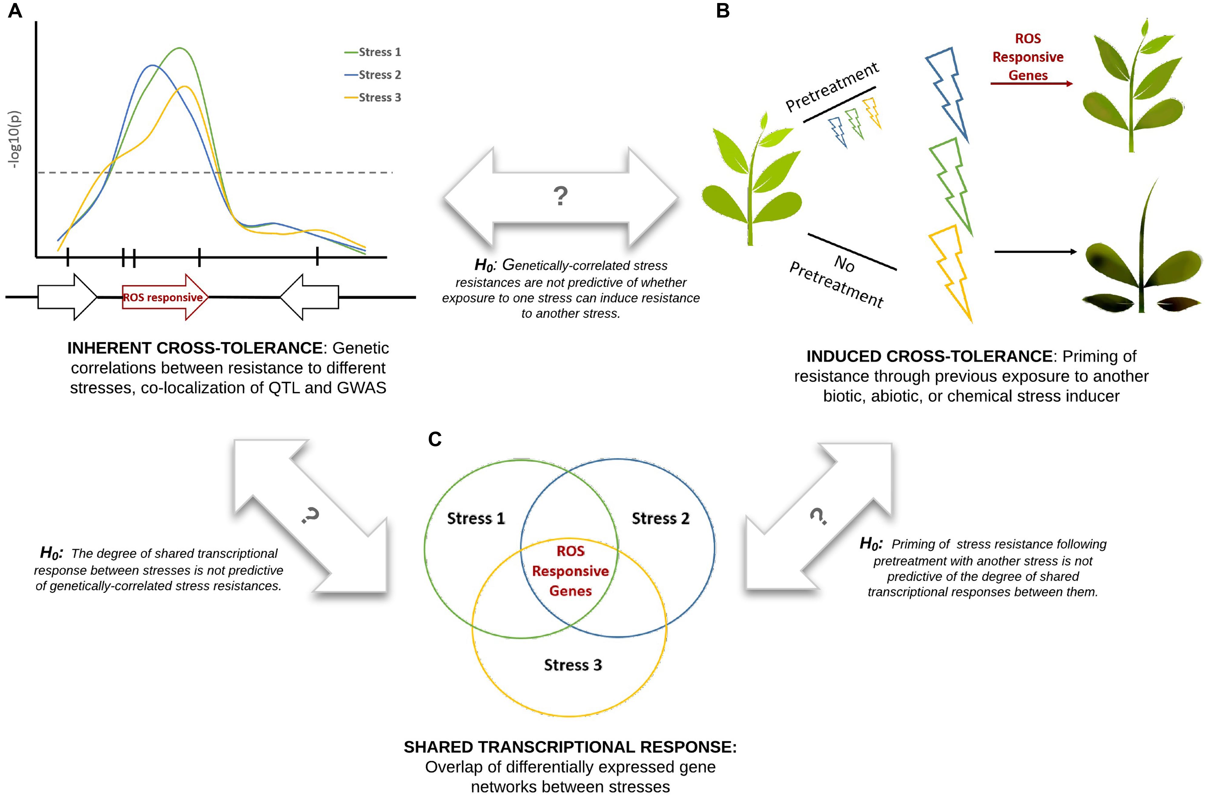 download nitric oxide in plant growth, development and stress