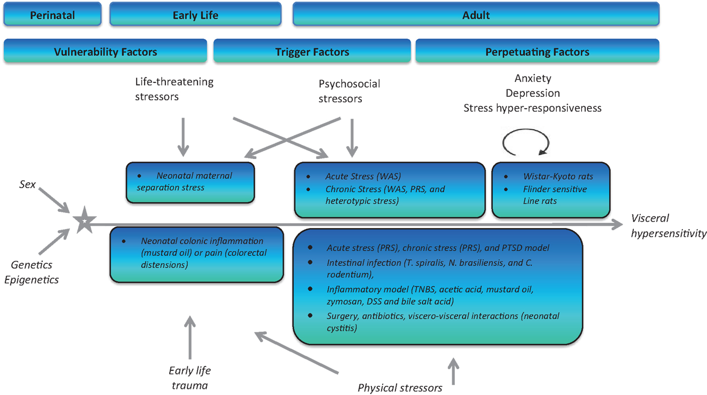 innovative management of atrial