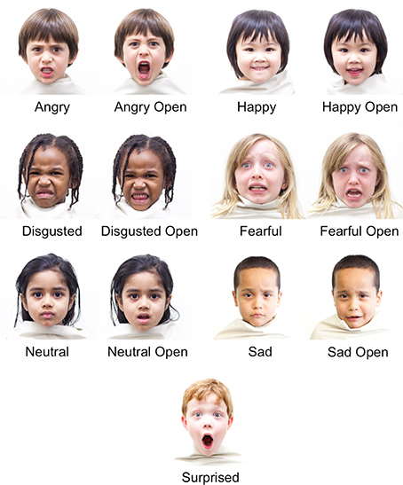 Emotions Facial Expression 17