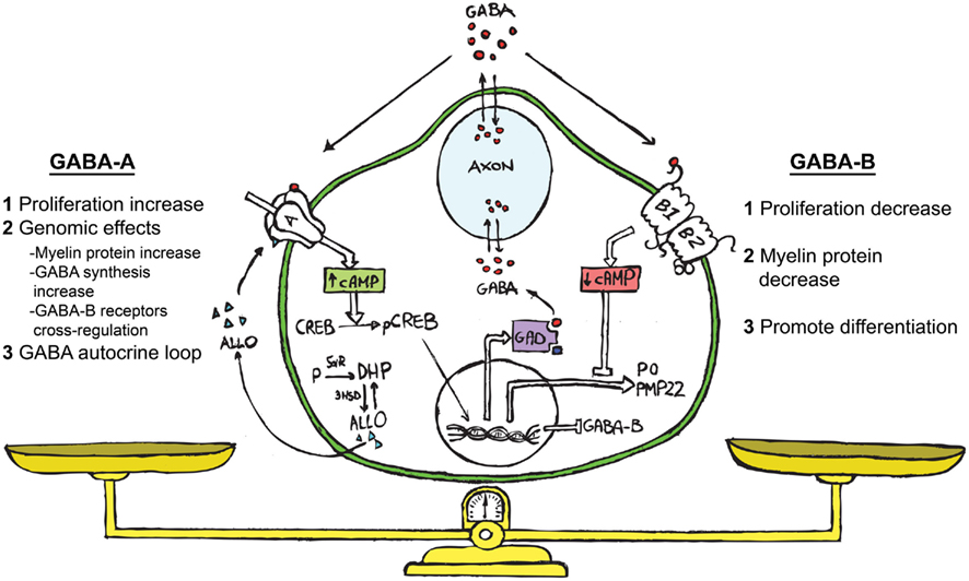 essentials of nucleic