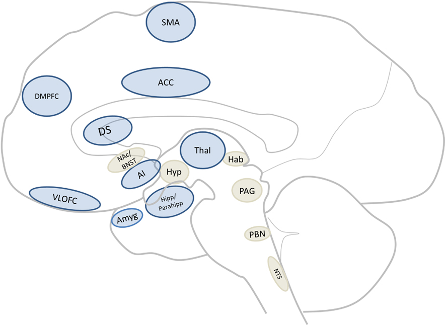 Identifying a network of brain regions involved in aversion-related ...