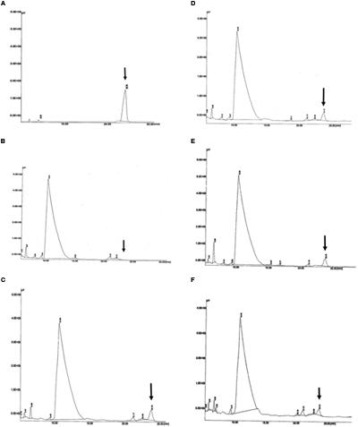 Enzyme used to synthesise phb