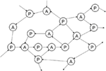 www.frontiersin.org