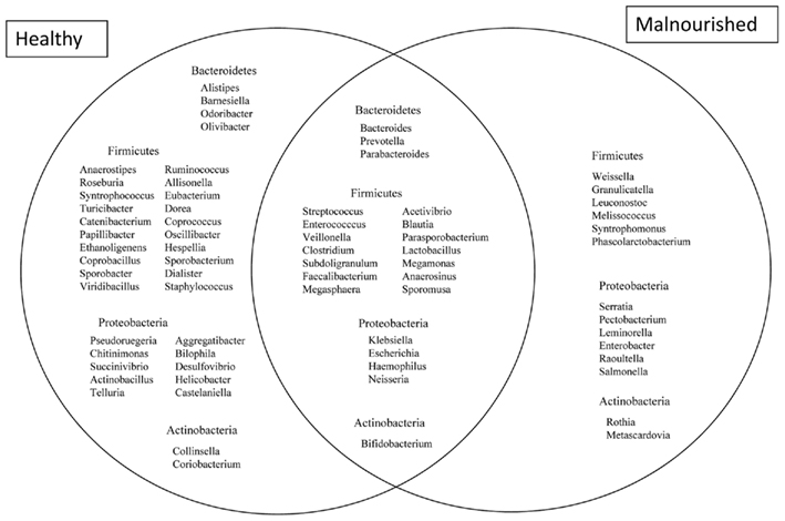 Compare And Contrast Dna And Rna Chart