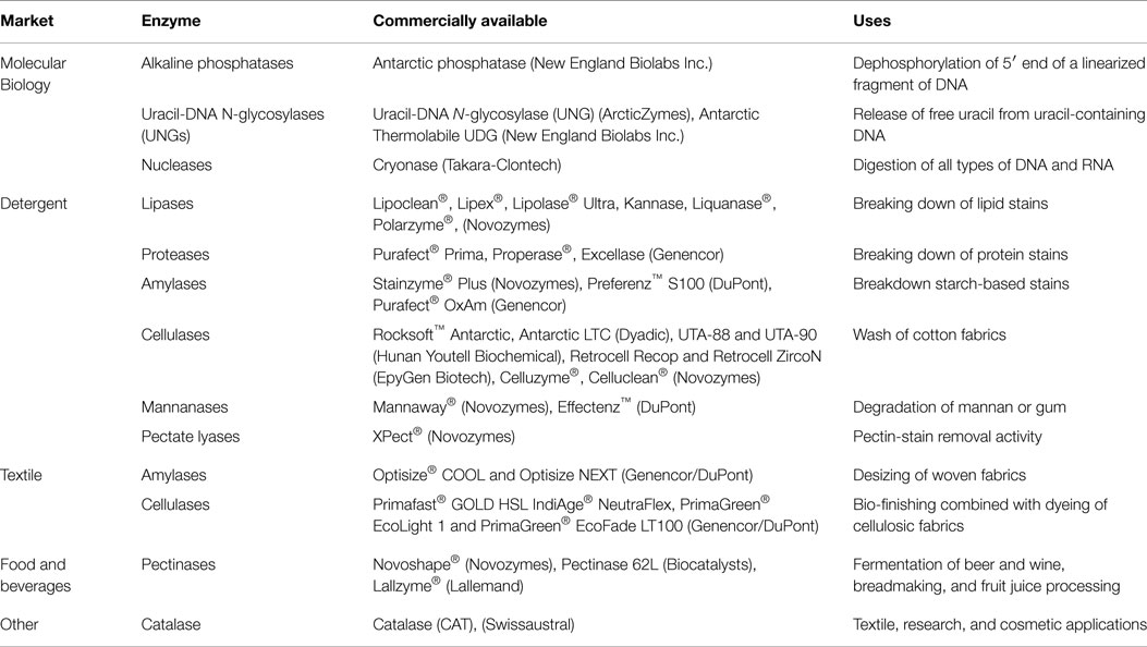 online leisure activities in context a micro macroagency