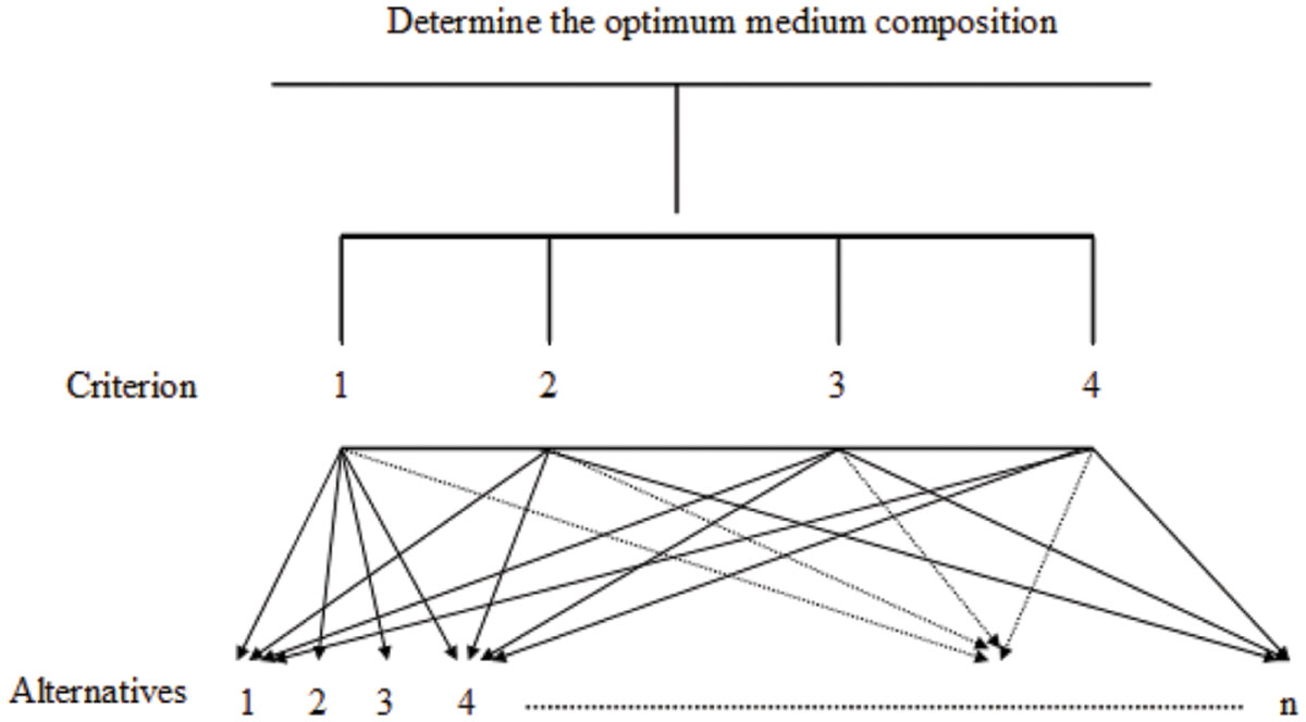 Comparision essay