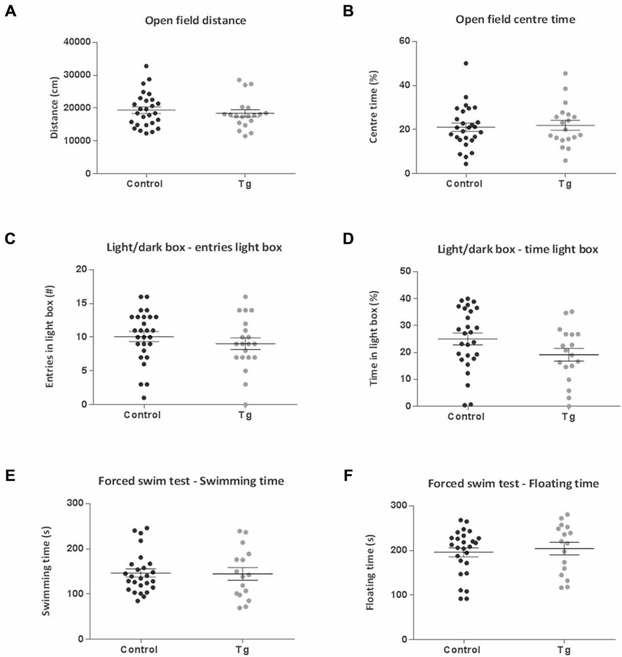 chloroquine drug usage