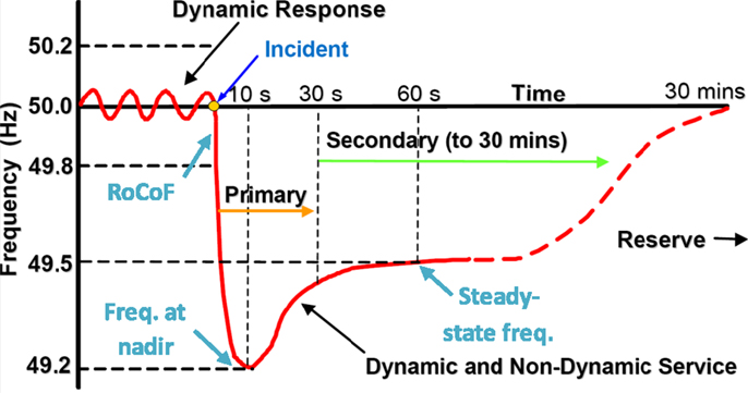 The Physiology