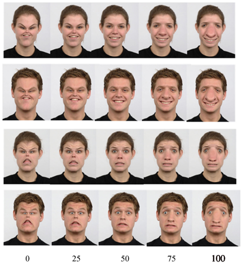 Facial Recognition Tests 53