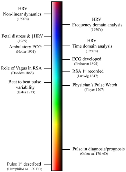 Timeline - Heart Rate Variability Measurement