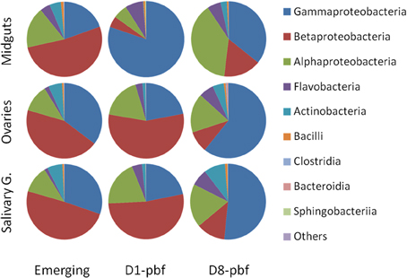 Biologie Des Microorganisms Pdf