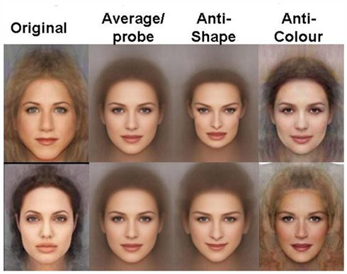 Low testerone in women