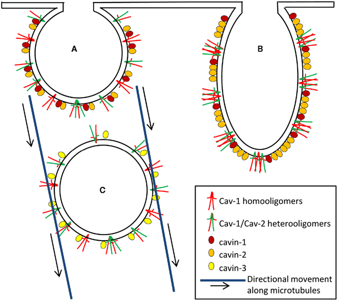 online mechanismen der