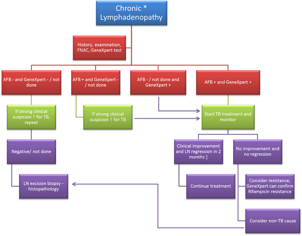 Frontiers Lymphadenopathy Differentiation Between Tuberculosis And