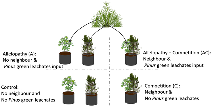 bioprospecting of indigenous bioresources of north