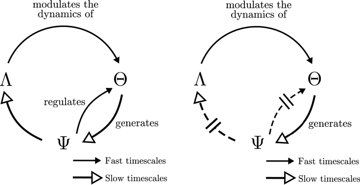 http://www.frontiersin.org/files/Articles/210933/fnsys-10-00076-HTML/image_m/fnsys-10-00076-g009.jpg