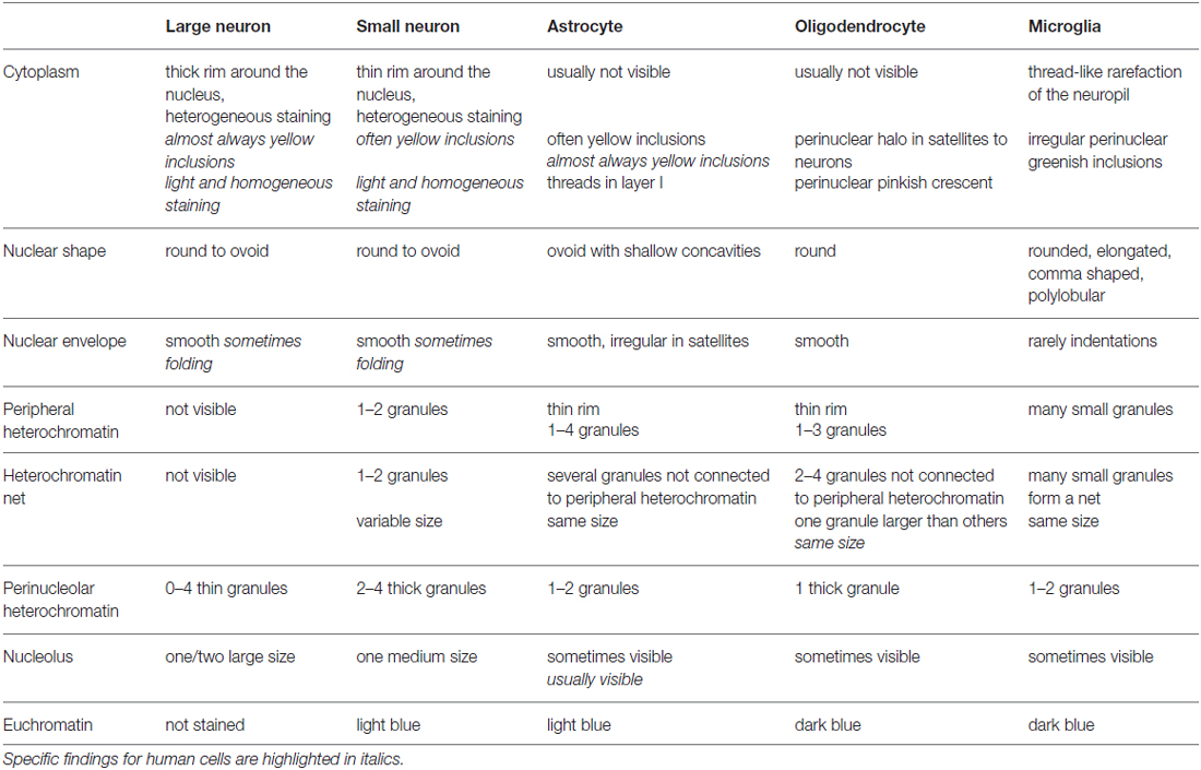 5twelve Size Chart