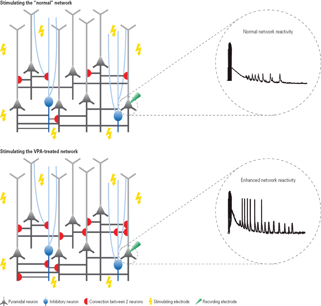 download structure activity