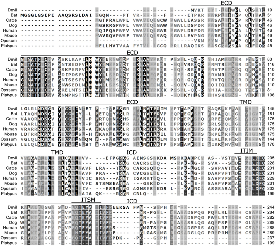clc sequence viewer einstein university clc sequence viewer einstein university