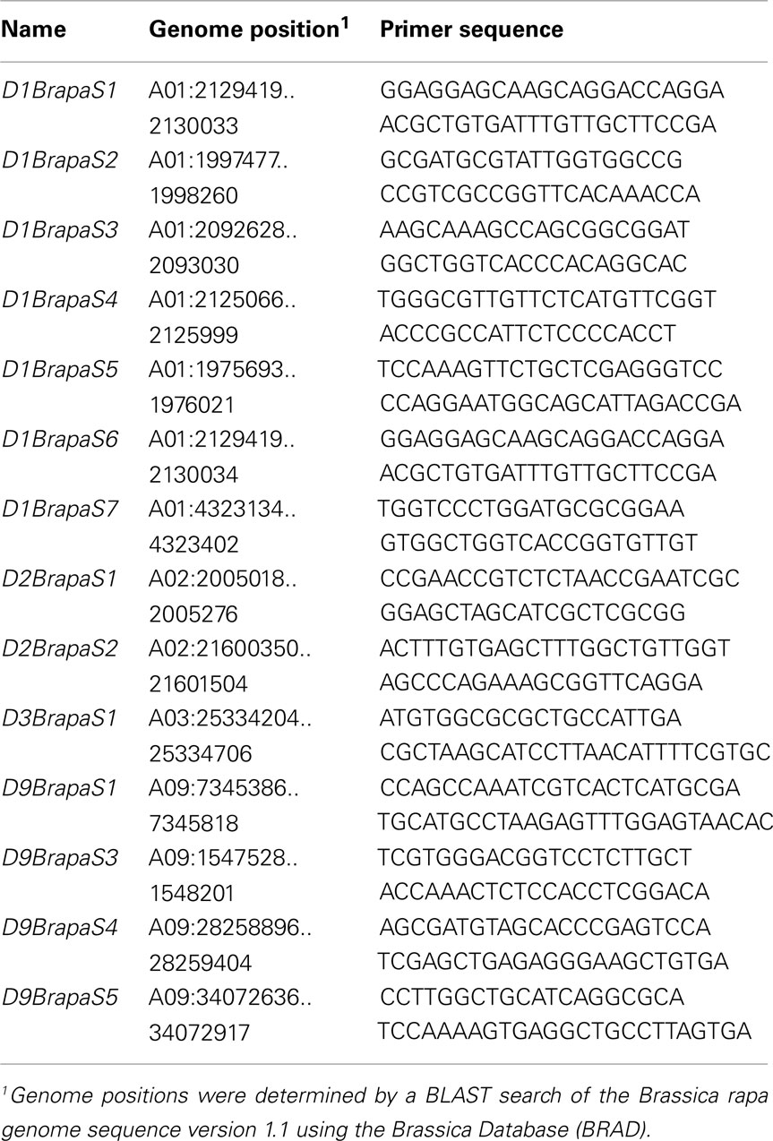 Brassica rapa lab report