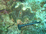 www.frontiersin.org
