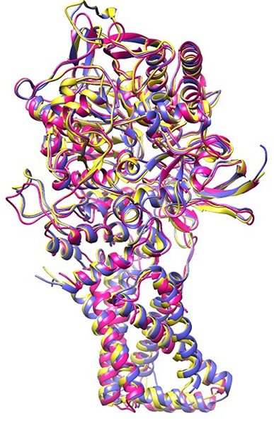 fchem-05-00100-g008.jpg
