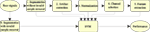www.frontiersin.org