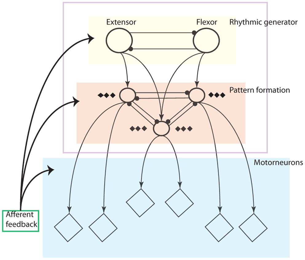 download modeling with data