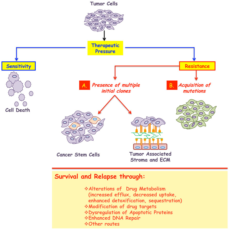 membrane processes in separation