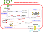 immunogenicity, immunogenicity of tumor initiating stem cells: potential