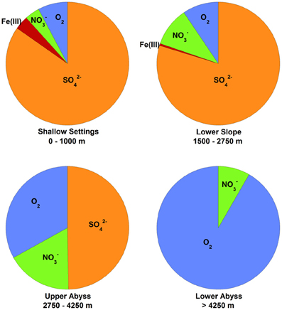 Elements In The Ocean Pie Chart