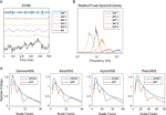 decomposed temporal complexity analysis of neural oscillations