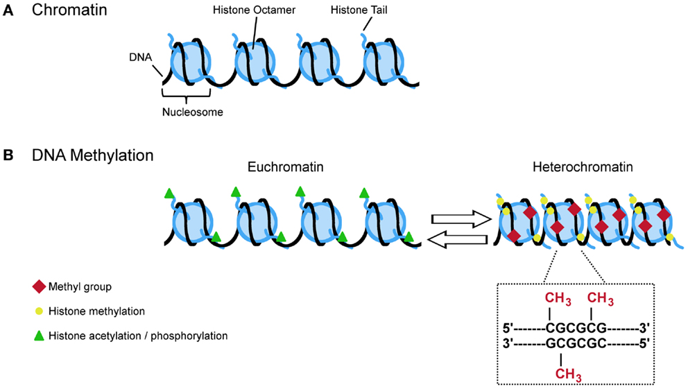 ebook reviews of physiology biochemistry and pharmacology volume