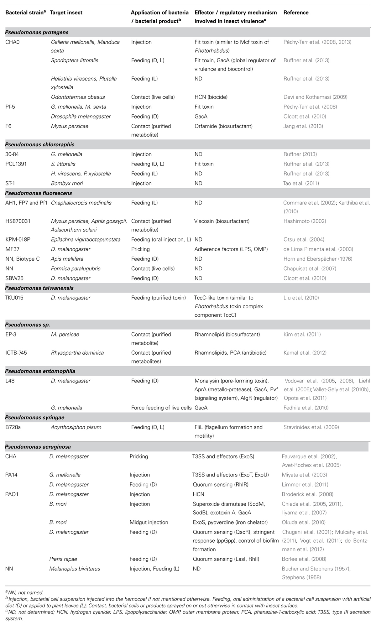 Research Paper Format Apa Example