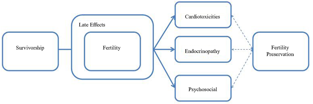 Frontiers | Why Healthcare Providers Should Focus on the Fertility of ...