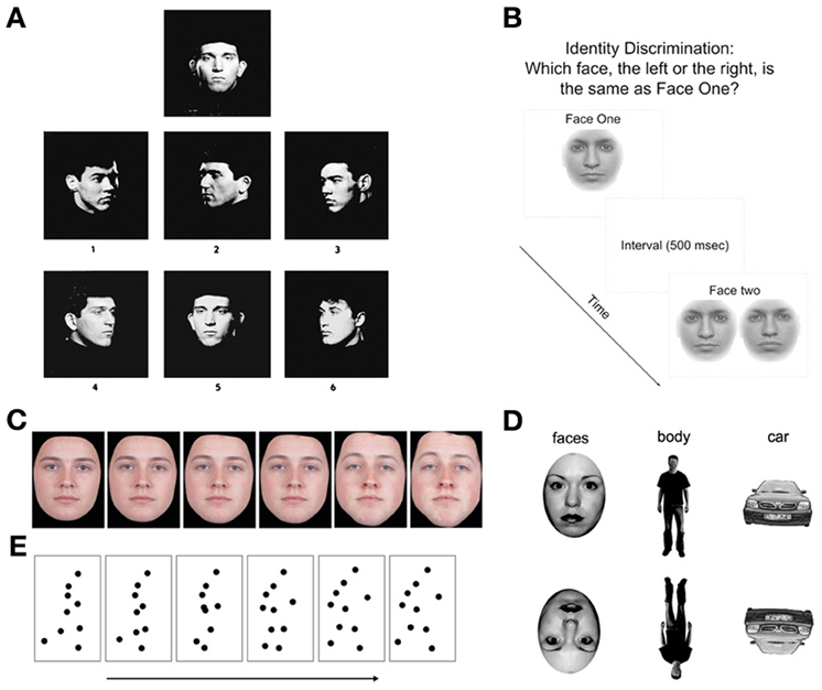 Facial Recognition Tests 120