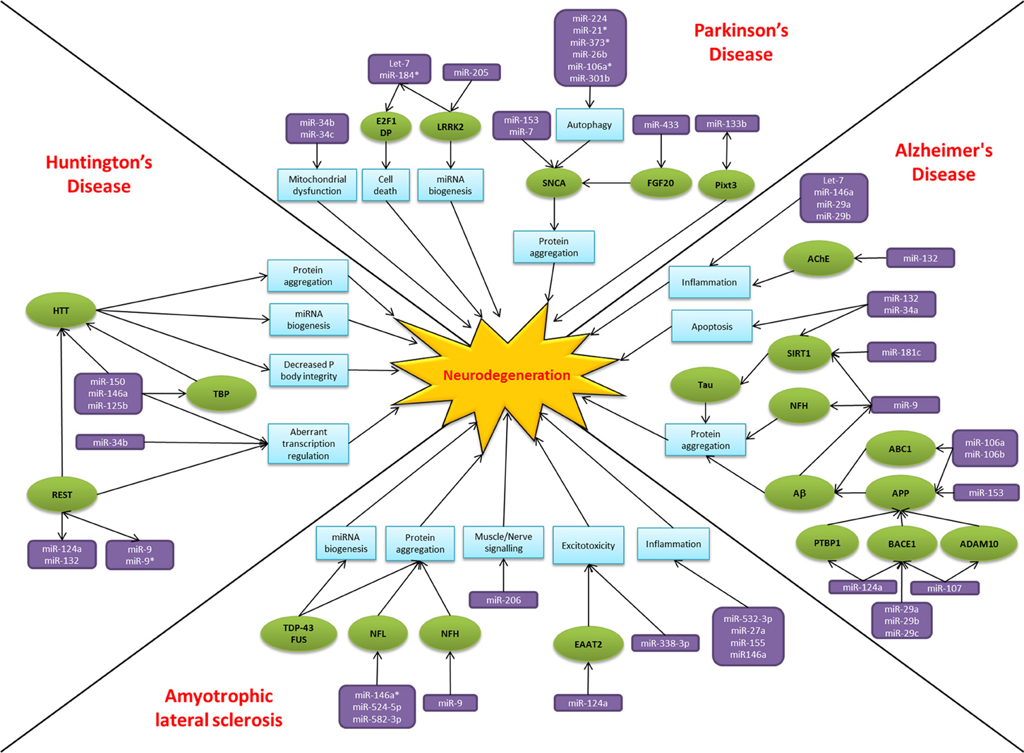 Journal article summary sample