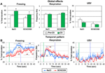 vocalization, interval timing in odor fear conditioning in rats