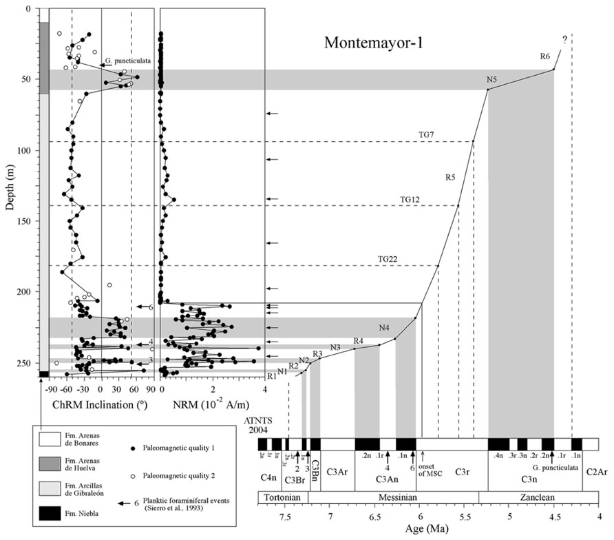 phd dissertation in biomass gasification