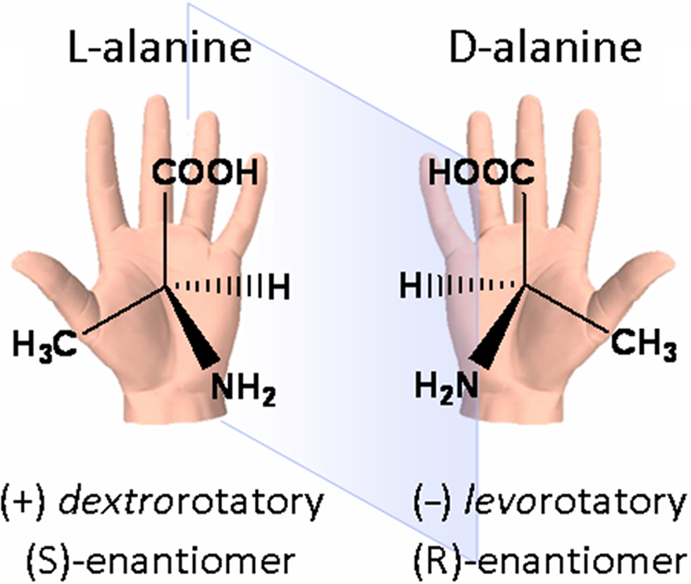 http://www.frontiersin.org/files/Articles/7878/fphar-01-00137-HTML/image_m/fphar-01-00137-g003.jpg