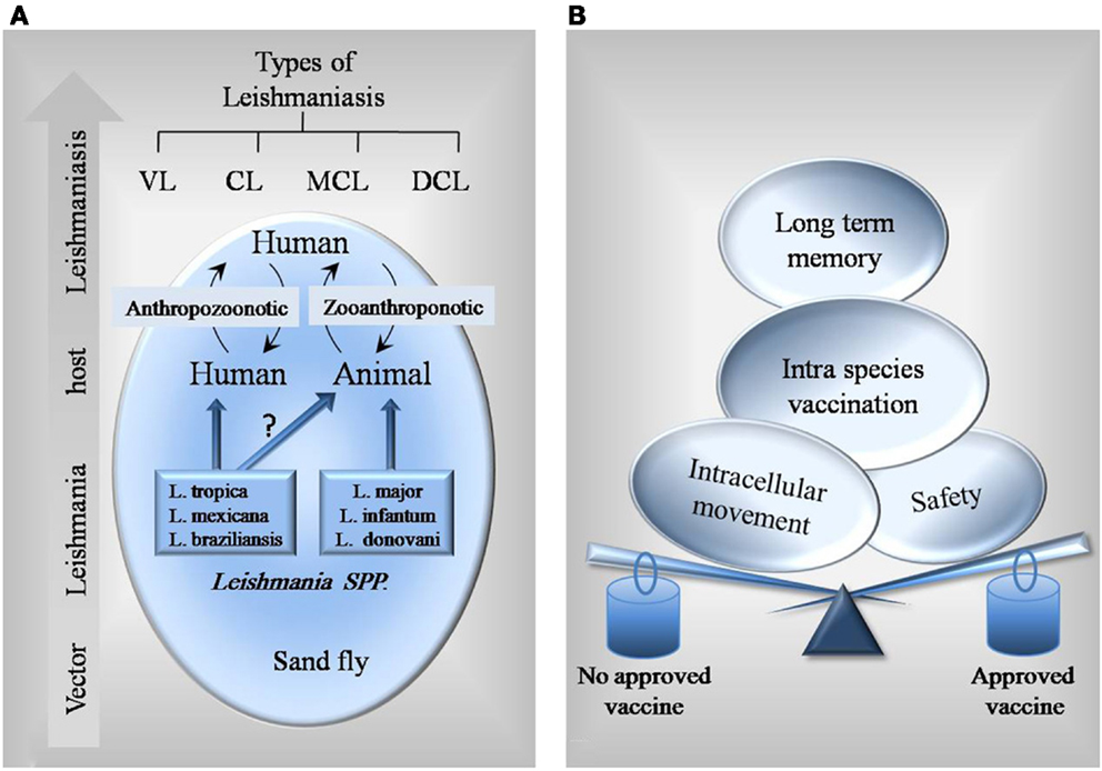 Vaccines and Immunostimulants for Finfish Frontiers