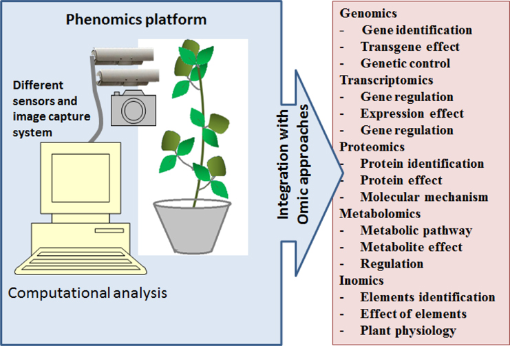 online discovering real business requirements for software