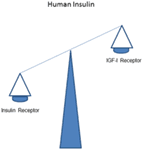 www.frontiersin.org