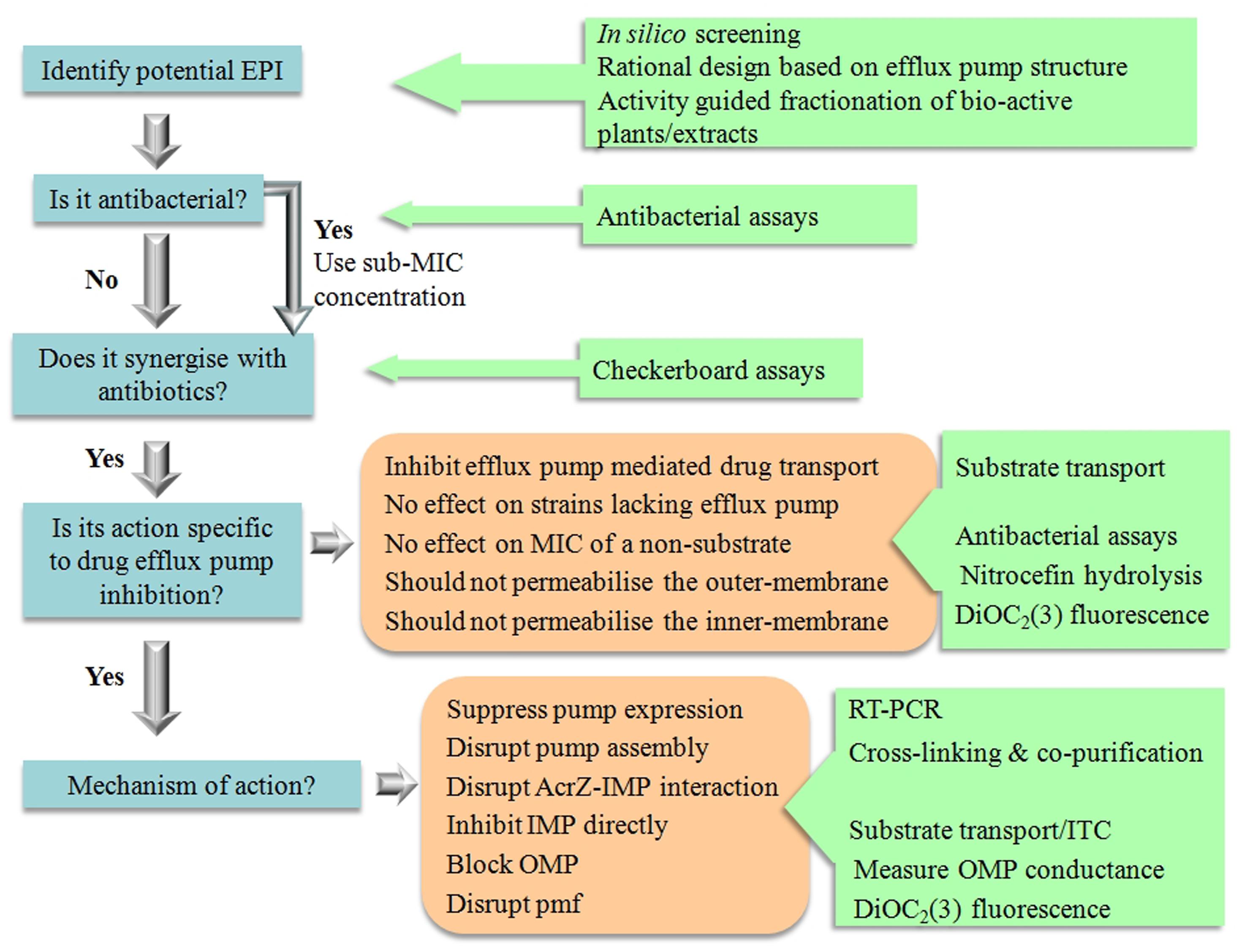pmf 2014 essay questions pmf 2014 essay questions